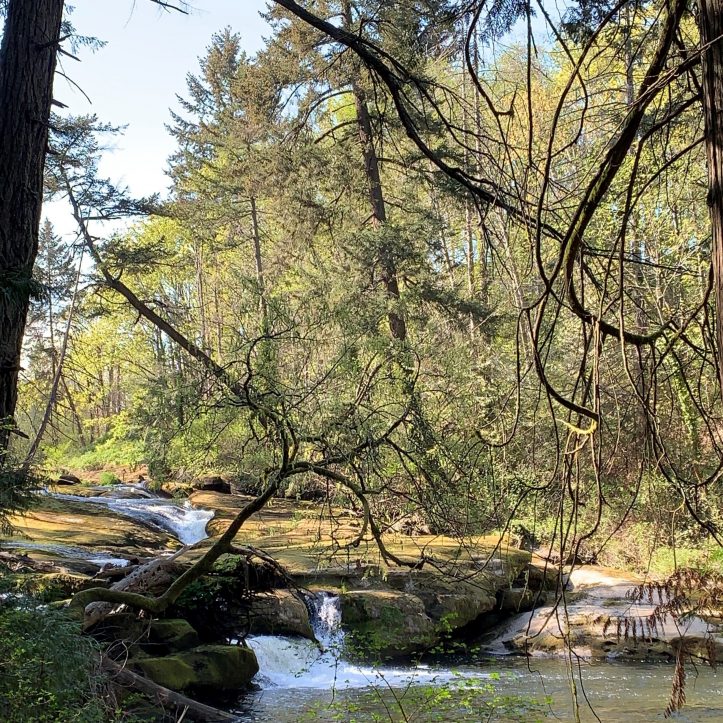 getting to know your personal wilderness